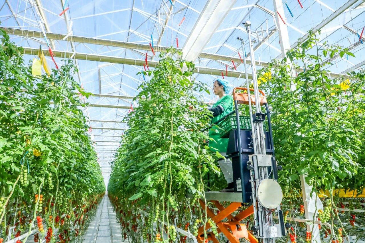 爱波瑞&times;凯盛浩丰：精益数字化重塑智慧农业管理新生态